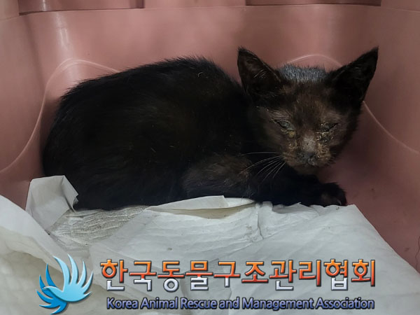 한국동물구조관리협회_411316202300664